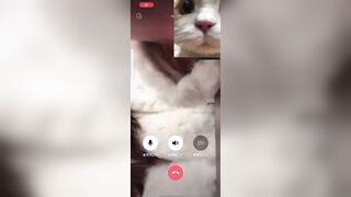 一對一揉搓巨乳