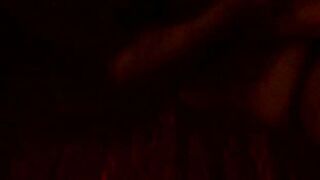 한국.스타킹 논병아리-2